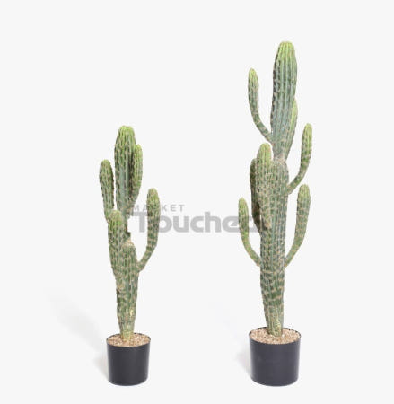 마켓터치드 무륜주 선인장장식 진짜같은조화 선인장화분 조화인테리어