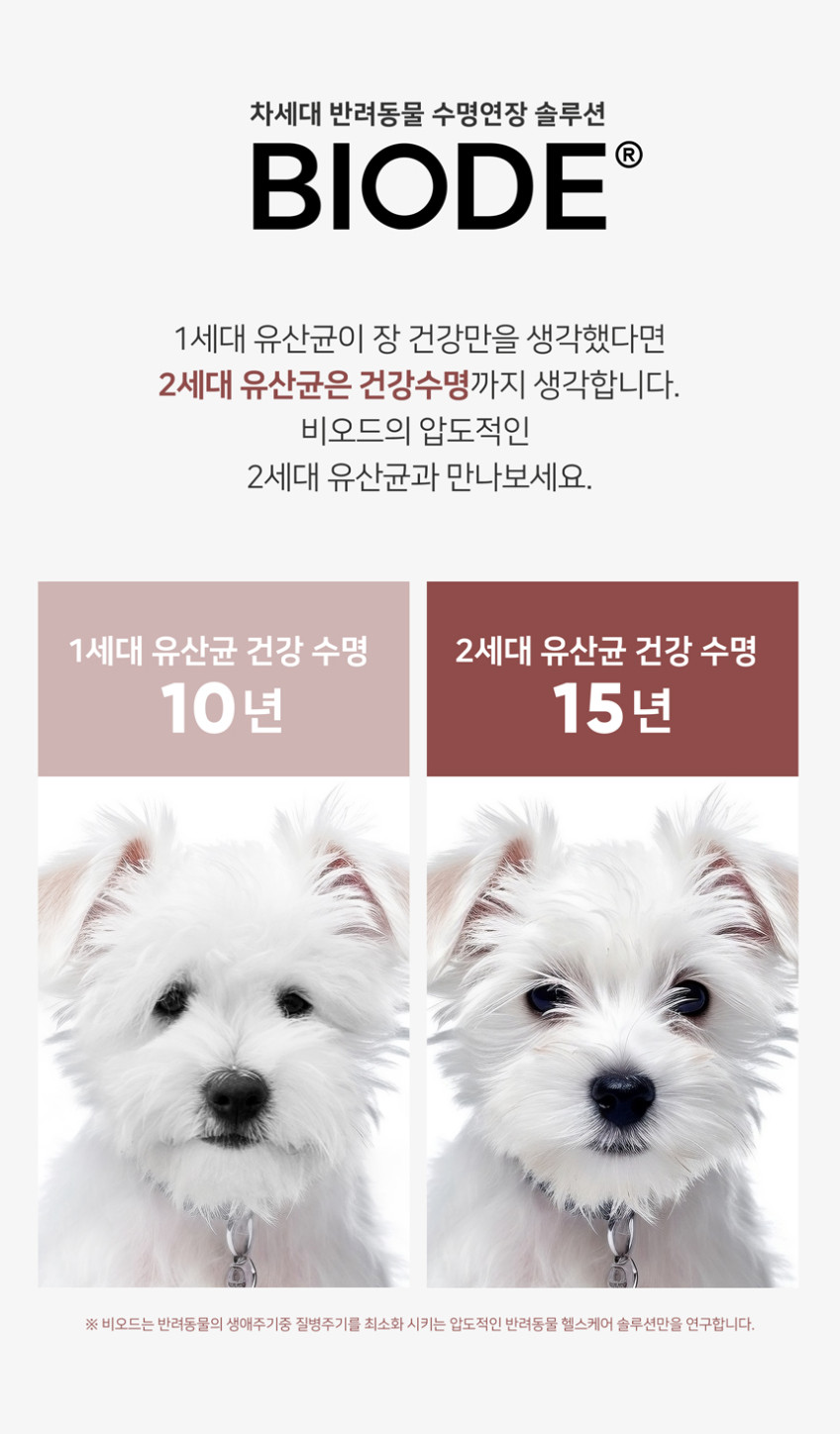 비오드 프리미엄 차세대 강아지유산균 AF균주 장건강 프로바이오틱스 항비만 30포, 1개 판매처 상세 정보 이미지 2