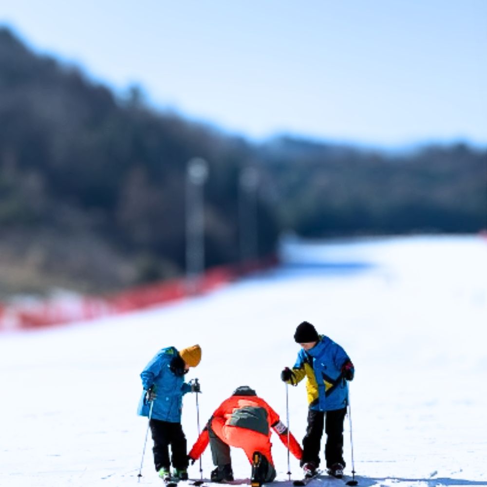 비발디파크 스키강습 1대1 베테랑강사 어린이 왕초보 성인 맞춤강습