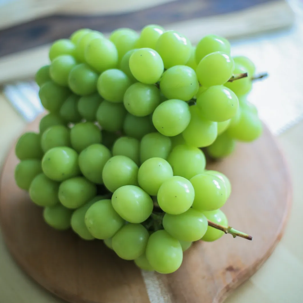 국내산 상주 샤인머스켓 2kg 3수 대과 · 고당도 아삭한 식감 - 상품 이미지