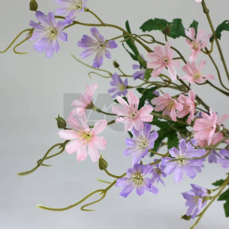 다올 레위시아 가지조화 오브제꽃 촬영용조화