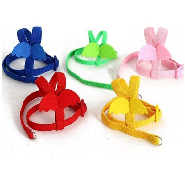 산책줄 앵무새 하네스 비행 앵무새 리드 줄 외출 조절