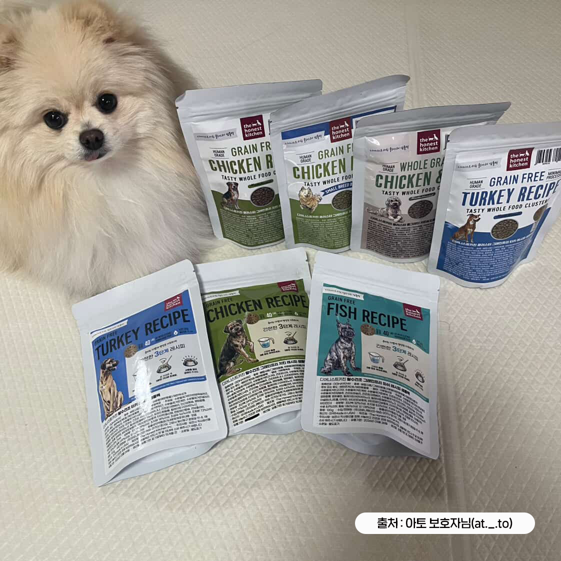 디어니스트키친 탈수건조 강아지 사료 샘플 연어+흰살생선, 100g, 1개 - 상세 이미지 5