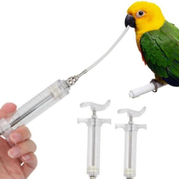 20ml 앵무새 먹이 주사기 병아리 앵무새 먹이 주기 급식 영양 - 상품 이미지