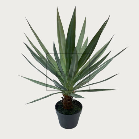 데이슬롯 사이잘삼 포트조화 인테리어조화화분