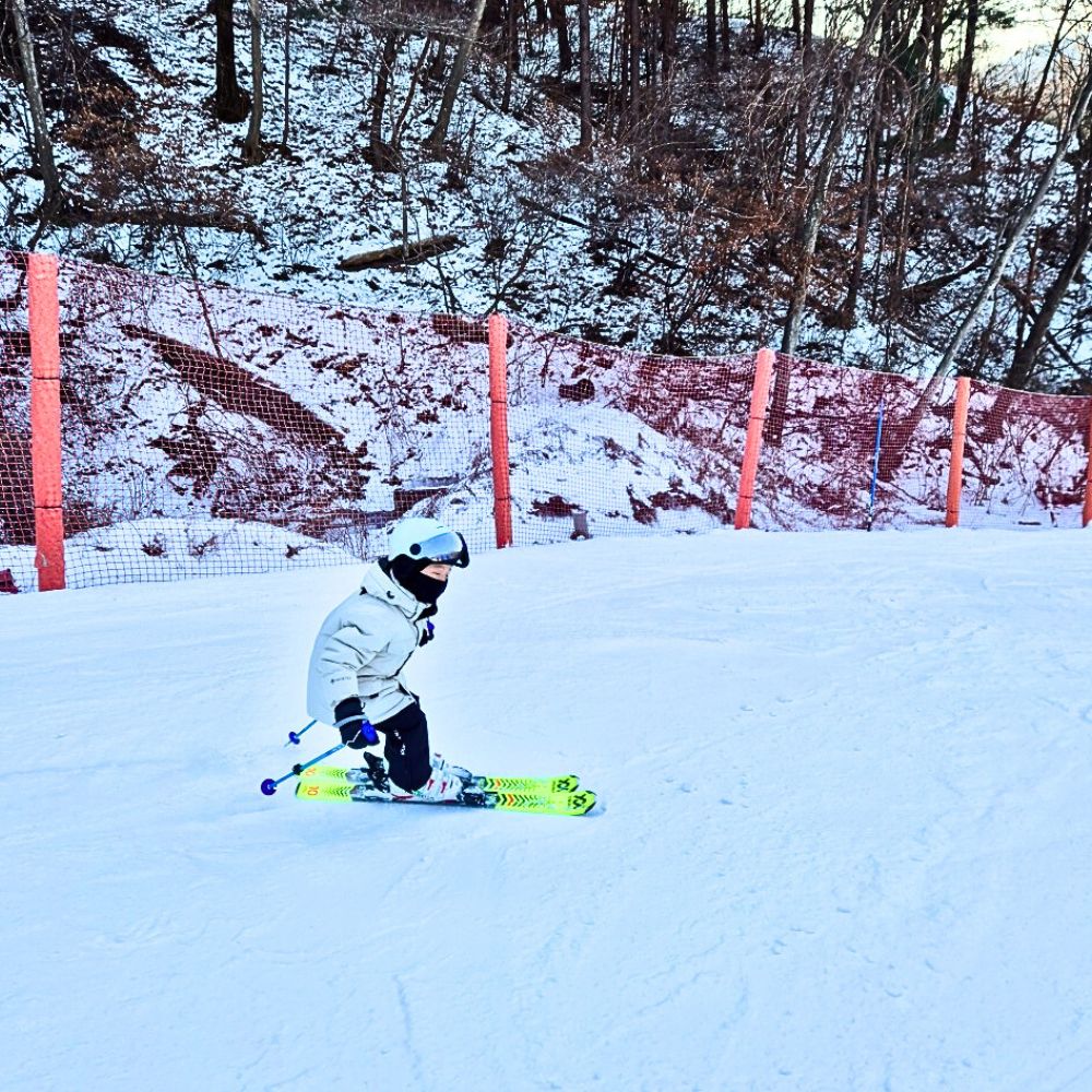 비발디파크 스키강습 1대1 베테랑강사 어린이 왕초보 성인 맞춤강습