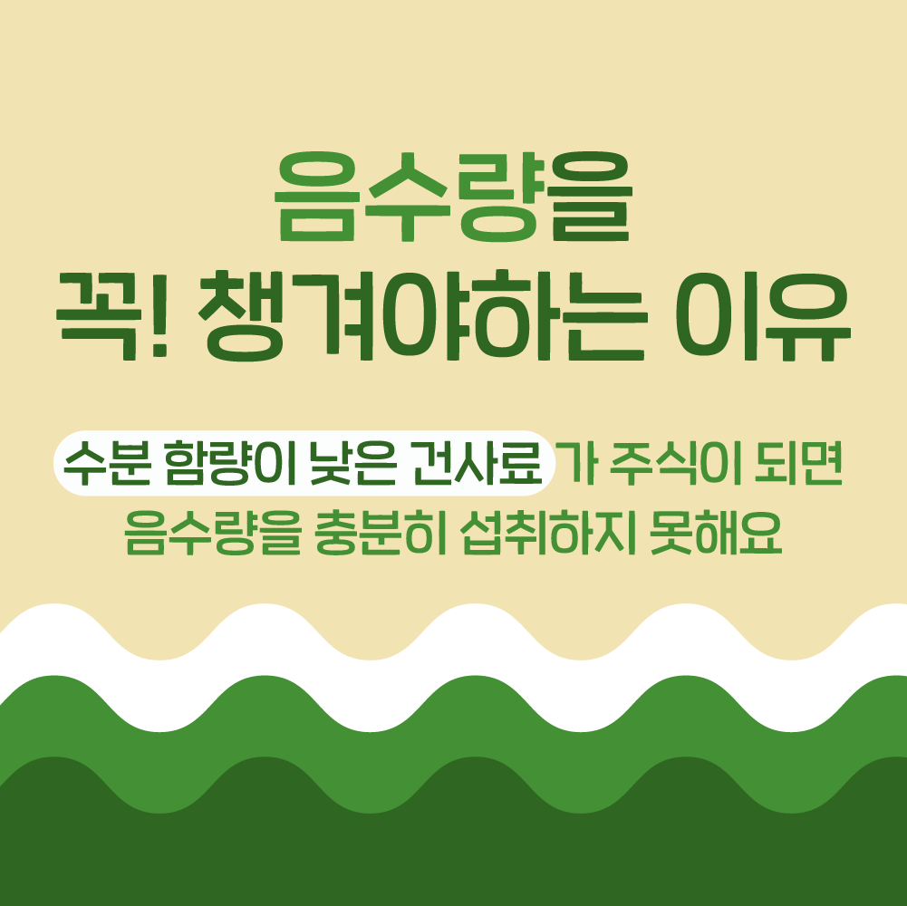 (1박스) [ 강아지의 날 ] 슈퍼포우 펫밀크 강아지 우유 고양이 음수량 바나나(소화), 150ml, 8개 이미지 4