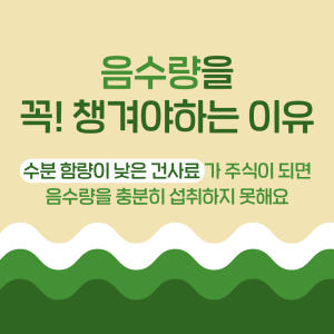 (1박스) [ 강아지의 날 ] 슈퍼포우 펫밀크 강아지 우유 고양이 음수량... 솔직 후기 | 실제 사용자 리뷰 총정리 - 상품 이미지 4