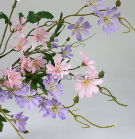 마켓터치드 레위시아 가지조화 실내조경