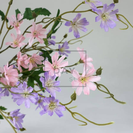 데이슬롯 레위시아 가지조화 오브제꽃