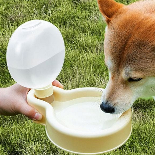 외출 강아지 휴대용 물병 애견 강아지산책 물통 급수기 용품 - 상품 이미지