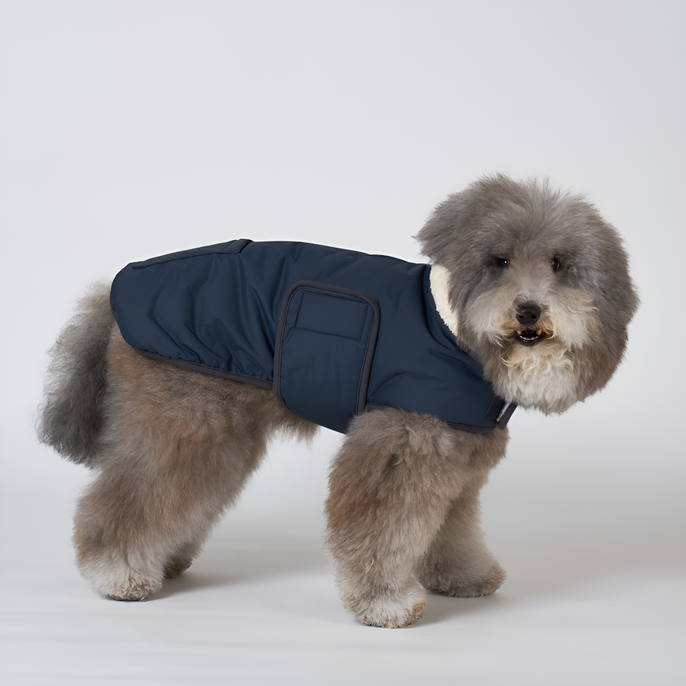 엔젤도그 강아지 패딩 개따뜨텍 숏패딩 겨울옷s