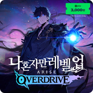 나 혼자만 레벨업 어라이즈 오버드라이브이미지