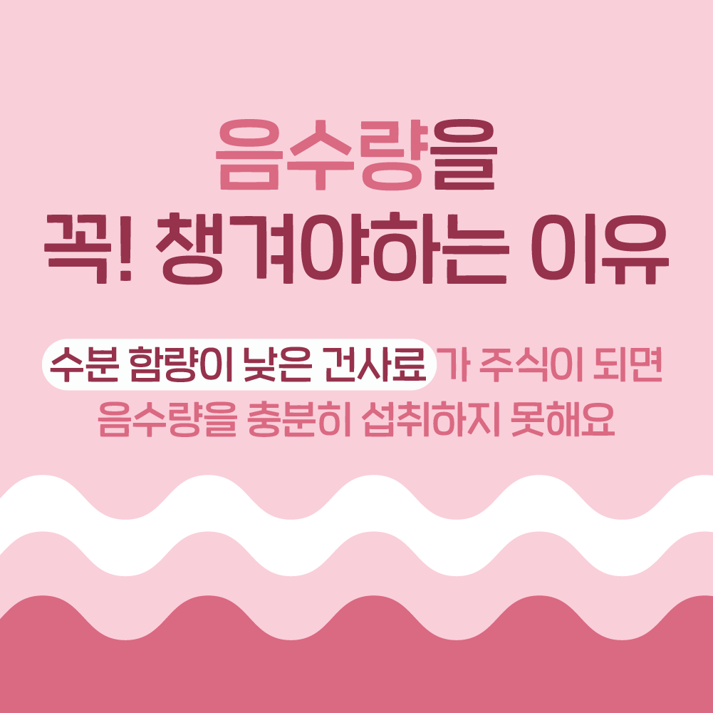 (1박스) [ 강아지의 날 ] 슈퍼포우 펫밀크 강아지 우유 고양이 음수량 딸기(면역), 150ml, 8개 이미지 4