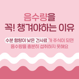 (1박스) [ 강아지의 날 ] 슈퍼포우 펫밀크 강아지 우유 고양이 음수량... 솔직 후기 | 실제 사용자 리뷰 총정리 - 상품 이미지 4