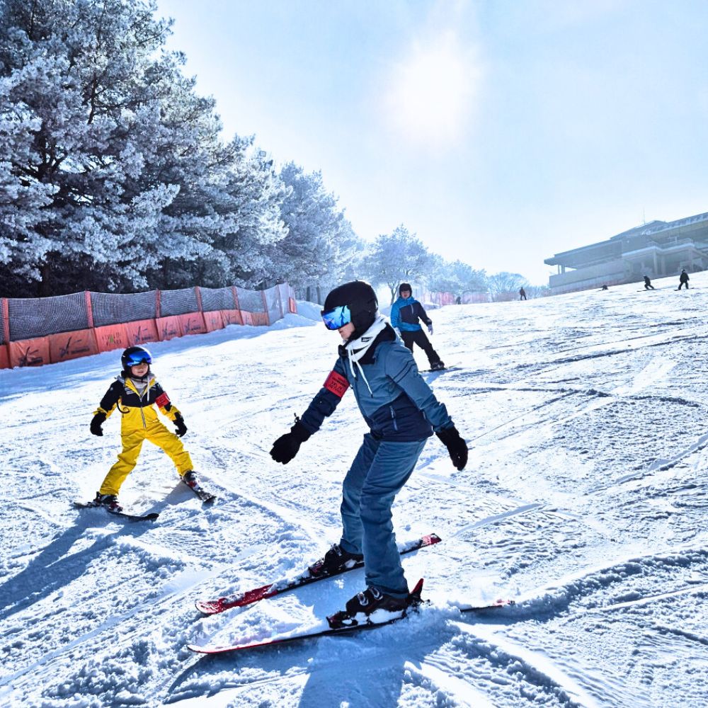 비발디파크 스키강습 1대1 베테랑강사 어린이 왕초보 성인 맞춤강습