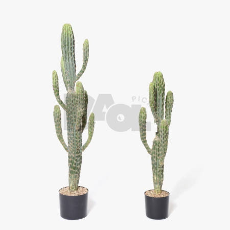 다올 무륜주 선인장장식 인조선인장 조화꽃꽂이 조화플랜테리어