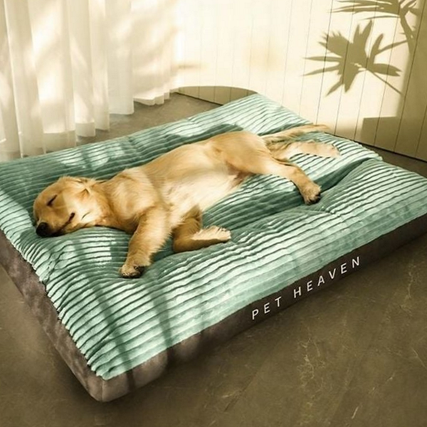 반려견 대형견 방석 중형견 강아지 방석 침대 쿠션 애견