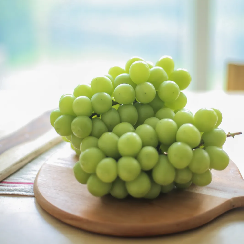 국내산 상주 샤인머스켓 2kg 3수 대과 · 고당도 아삭한 식감 - 상세 이미지 4
