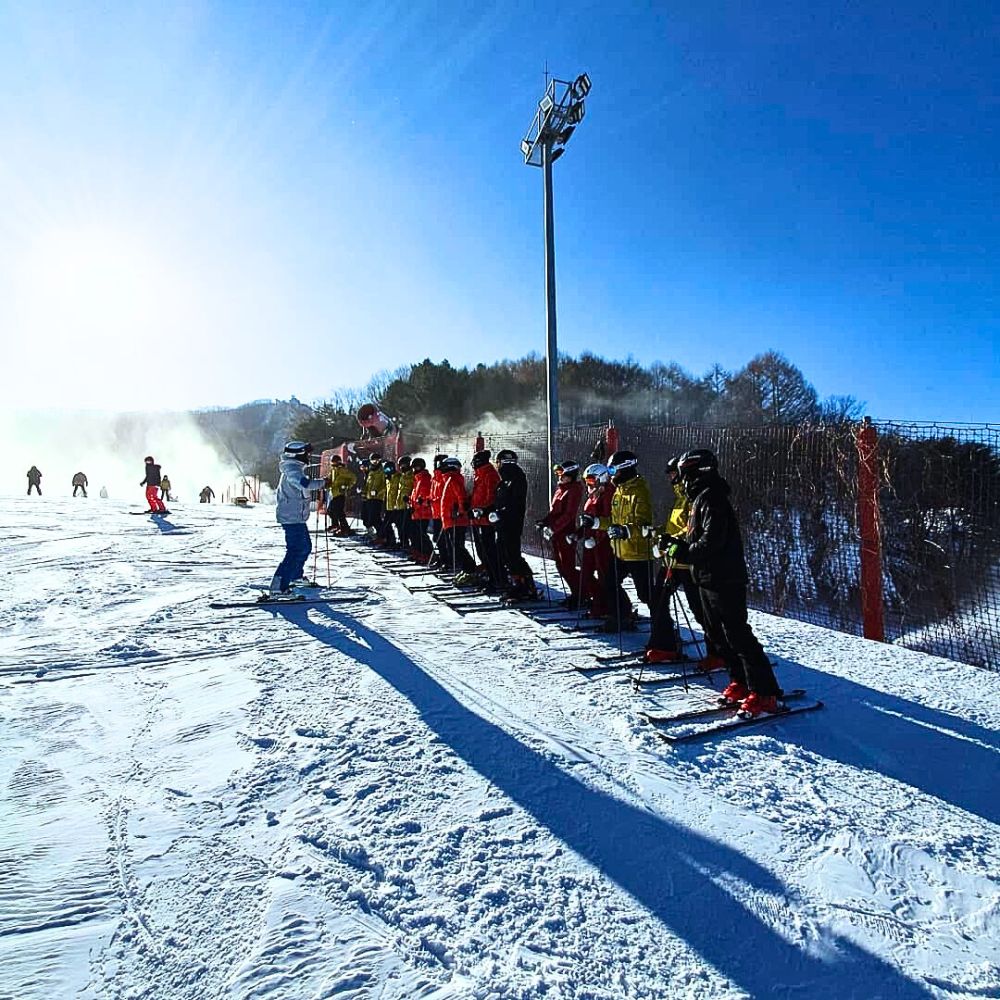 비발디파크 스키강습 1대1 베테랑강사 어린이 왕초보 성인 맞춤강습