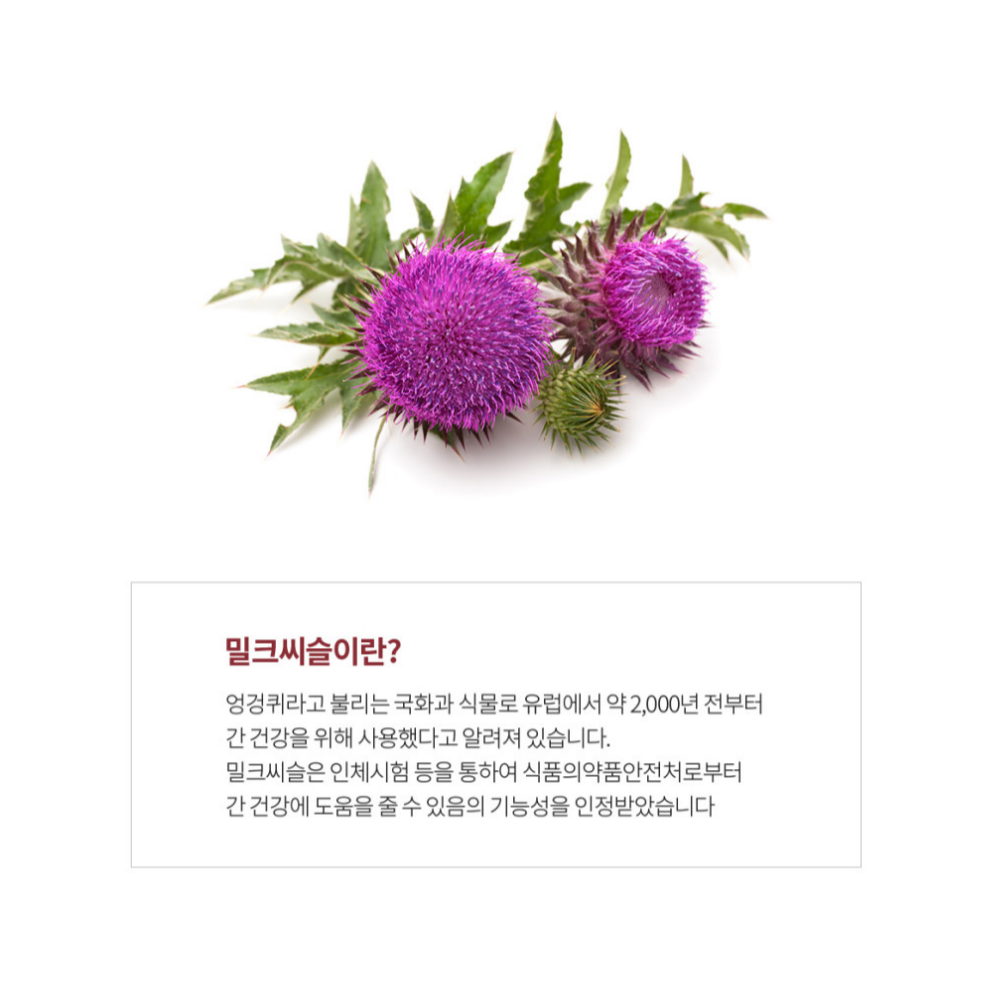 (유통기한임박 26-10-29 ) 베스처 간에좋은 간 영양제 피곤할때 밀크씨슬 실리마린 약2개월 - 상세 이미지 4