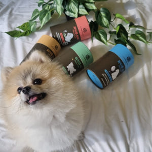 피키펫 강아지 피부 영양제 발사탕 습진 3박스 솔직 후기 | 실제 사용자 리뷰 총정리 - 상품 이미지 3