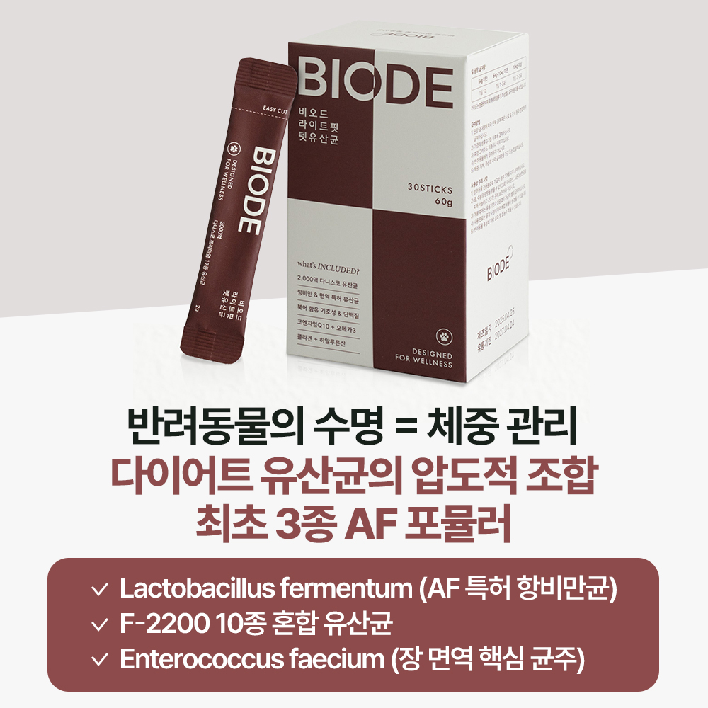 비오드 프리미엄 차세대 강아지유산균 AF균주 장건강 프로바이오틱스 항비만 30포, 2개 - 상세 이미지 3