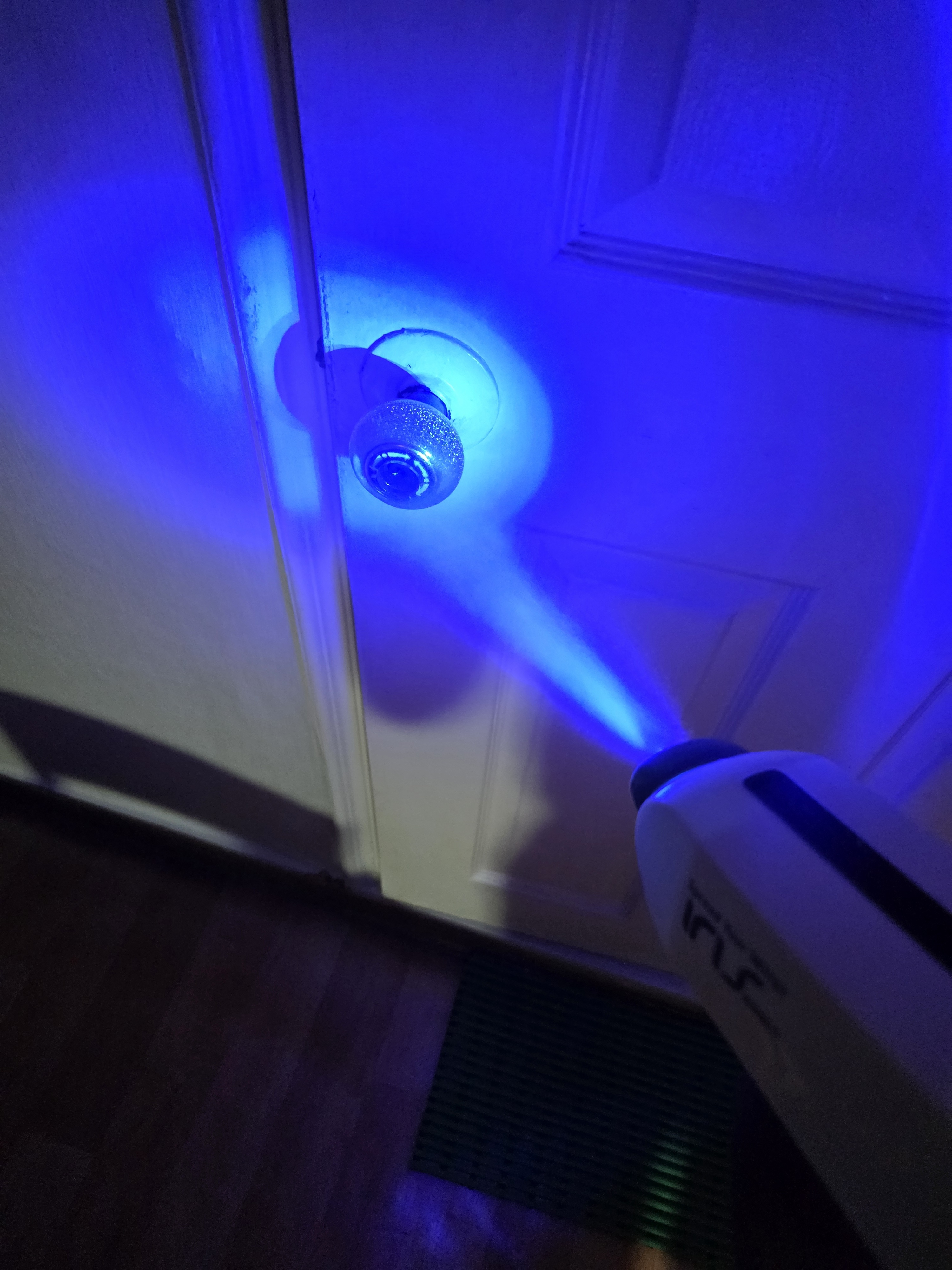 아이리스 피톤치드 프리미엄 2L 스프레이 탈취제 리필 편백나무 오일 편백수 새집증후군