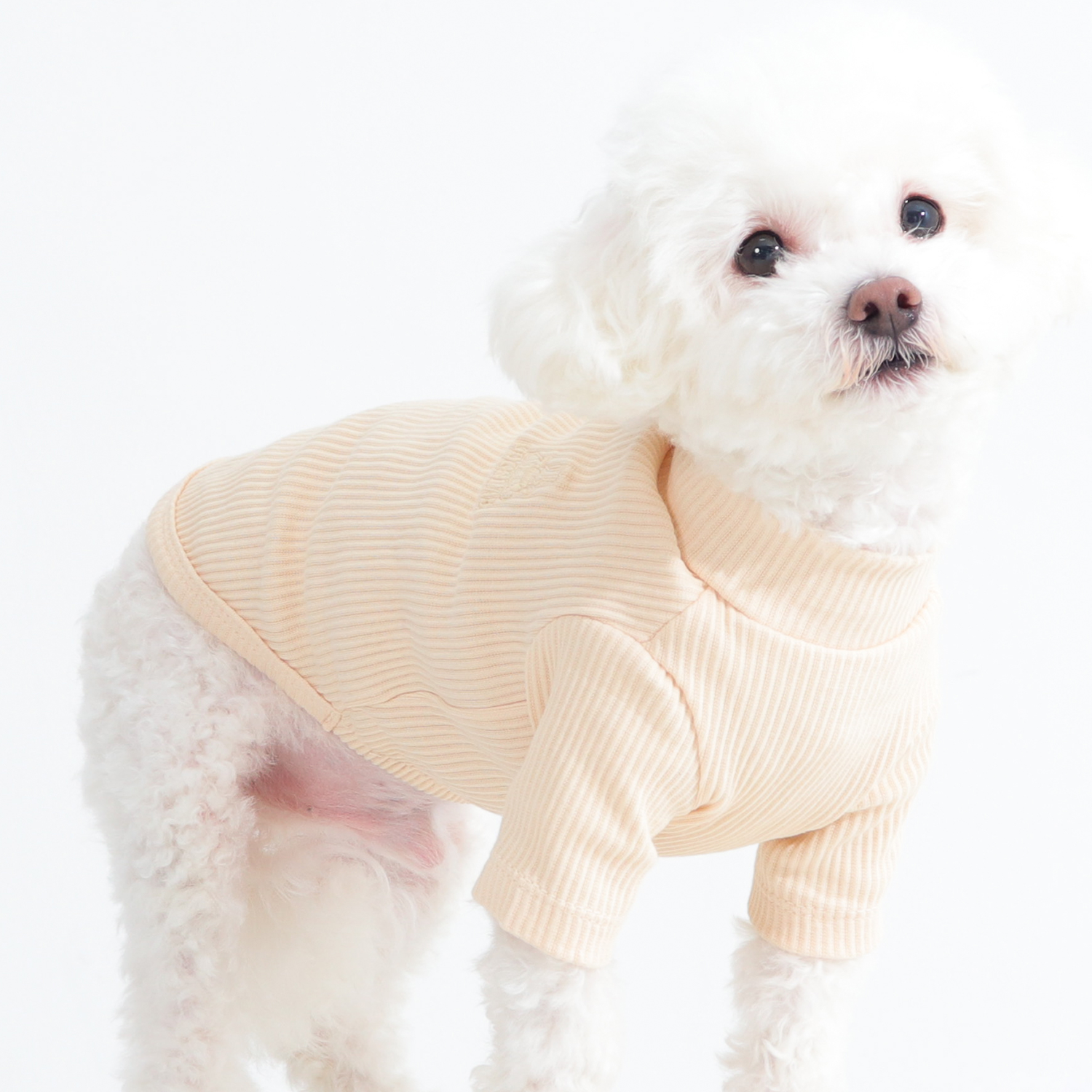 강아지옷 골지 강아지 티셔츠 목 폴라티 대형견 겨울옷 실내복 S 이미지 7