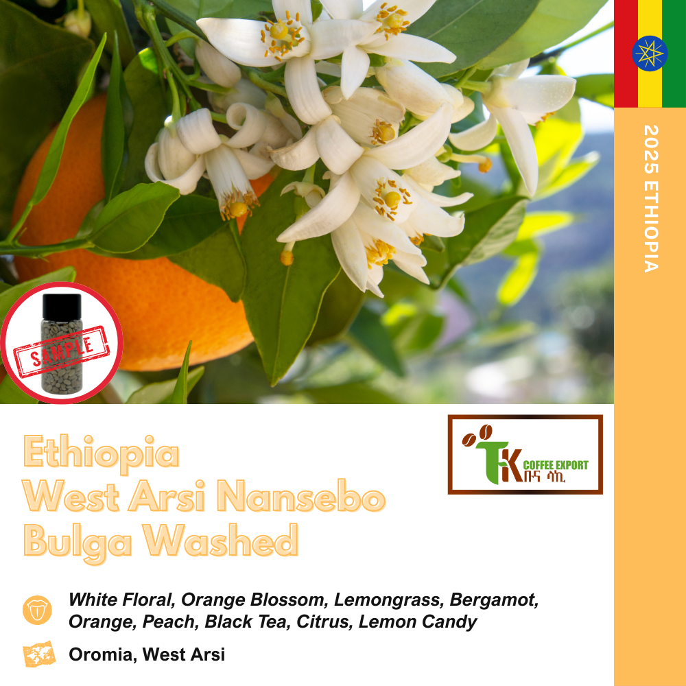 에티오피아 웨스트아라시 난세보 불가 워시드