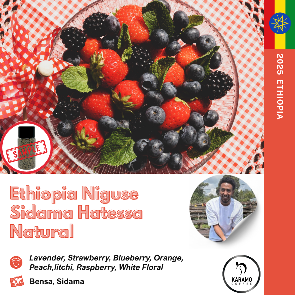 에티오피아 니구세 시다마 벤사 하테사 내추럴