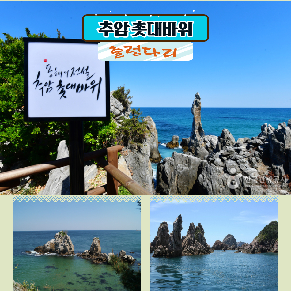[하계특선] 대관령 양떼목장 &오대산 월정사 전나무숲길 - 상세 이미지 5