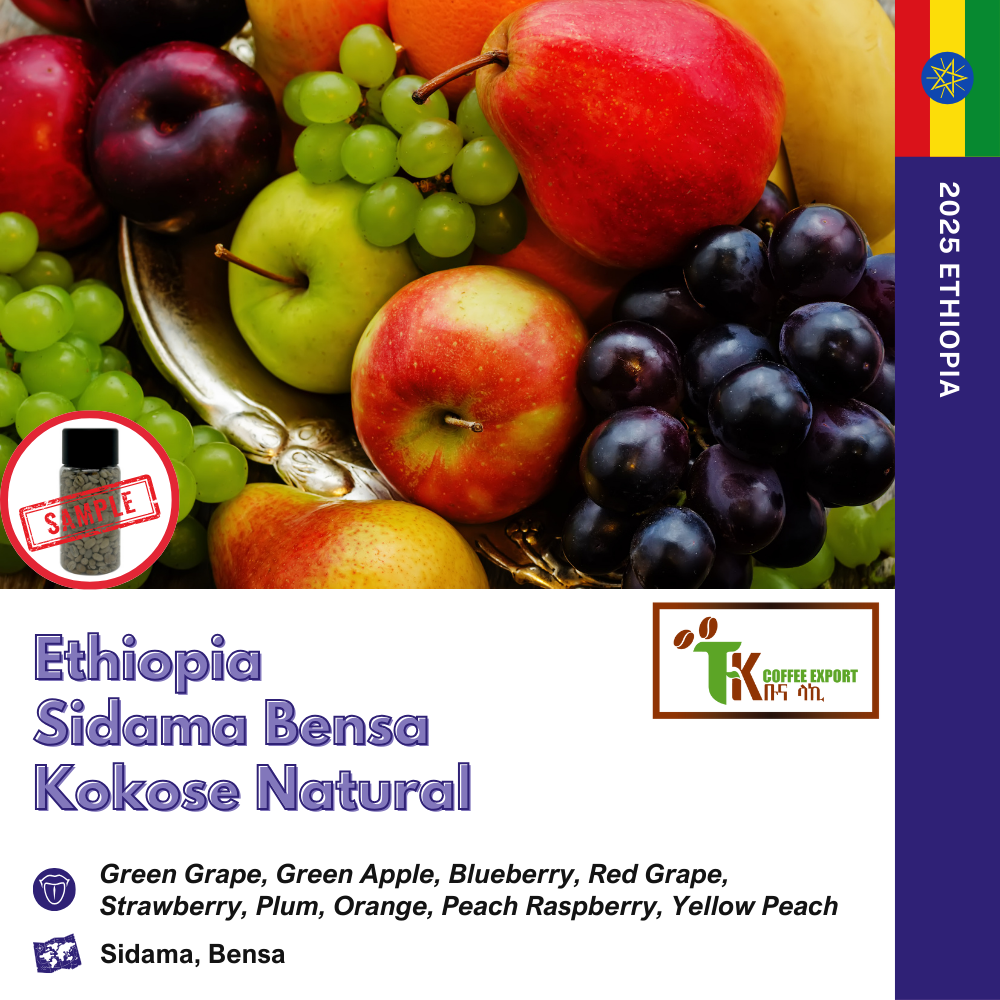 에티오피아 시다마 벤사 코코세 내추럴