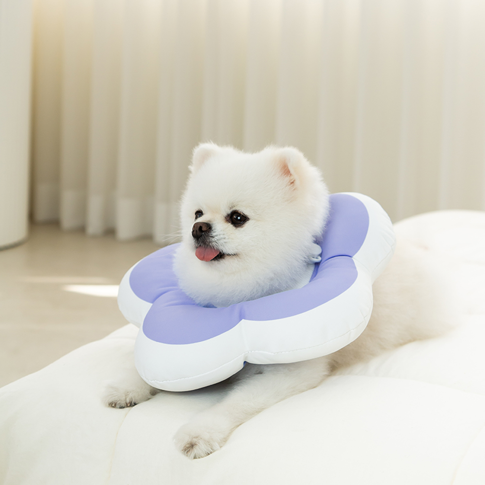 강아지 넥카라 플라워 방수 초경량 M