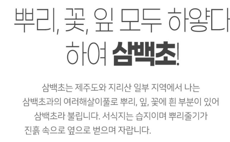 삼백초 국내산 300g 이미지 6