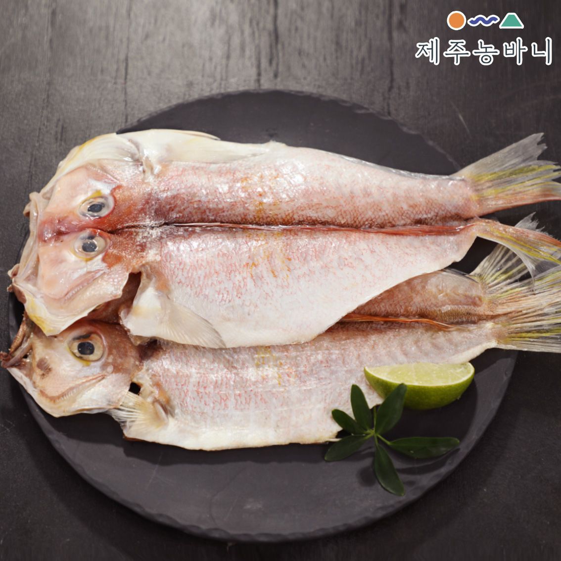 제주농바니 제주 옥돔 선물세트 특대 중 제수용 반건조 생선 명절 선물 - 상세 이미지 2