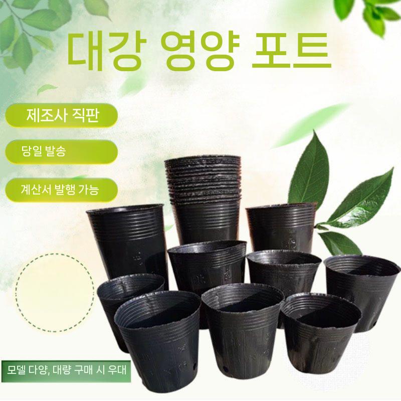 플라스틱 일회용화분 육묘 일회용 모종 다육이 화분 도구 12x10cm(8.8x7.8)/1000개 - 상세 이미지 3