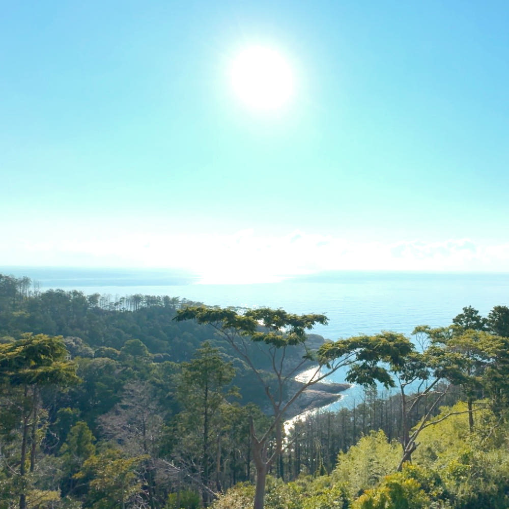 대마도 숙소 이즈하라 가족여행 뷰 호텔 오션뷰 쓰시마 예약 일본만 특전 조식포함