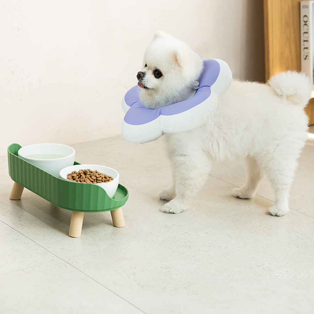 강아지 넥카라 플라워 방수 초경량 M