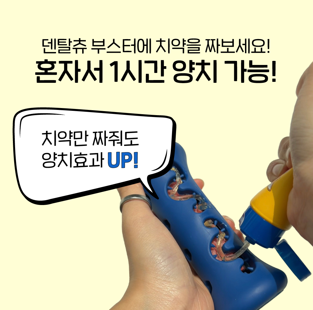 1시간 노즈워크 장난감 오래먹는 덴탈츄 부스터, 1개