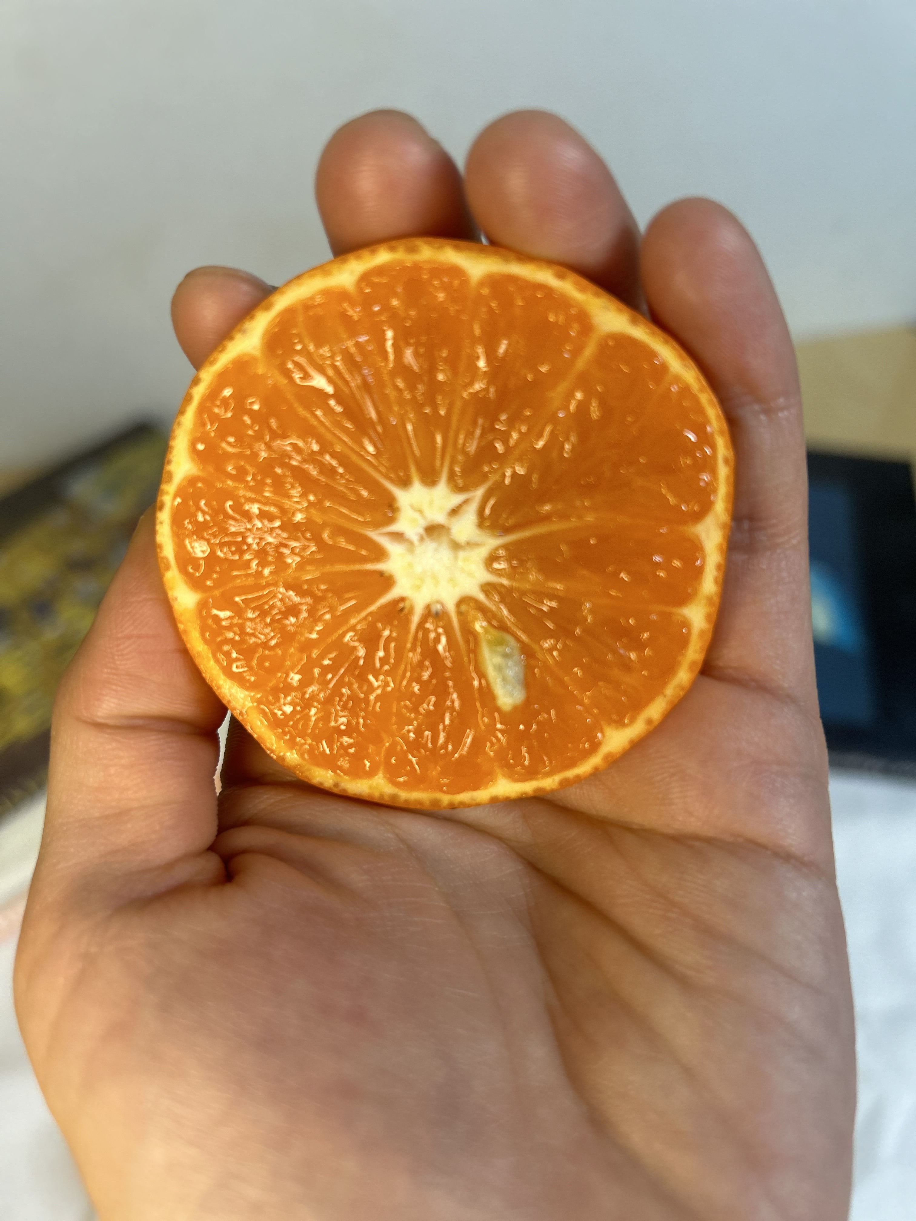 신맛적고 당도높은 신품종 감귤 홍매향 홍미향 동백향 레드썬 미하야 2.5kg10~25과 외 - 상세 이미지 2