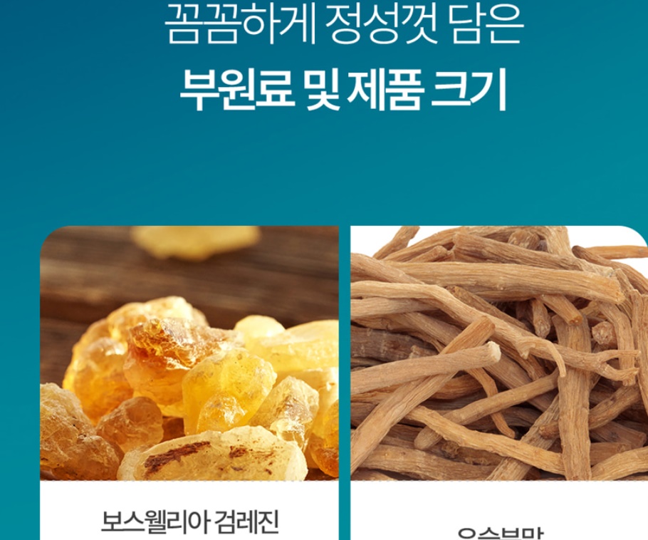 옵티 MSM 엠에스엠 맥스2000 60정 이미지 7