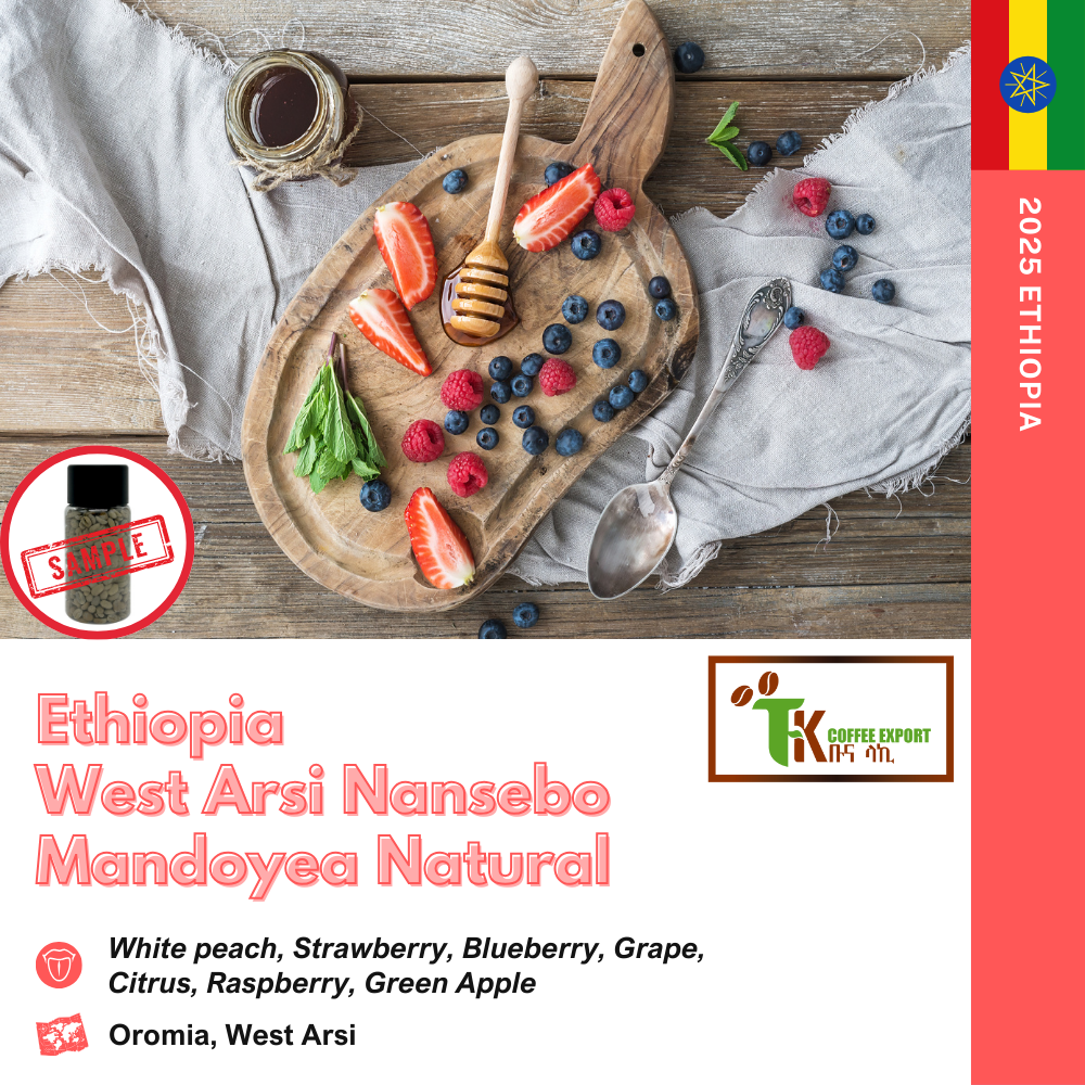 에티오피아 웨스트아라시 난세보 만도예 내추럴