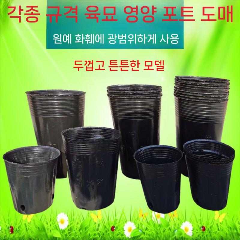 플라스틱 일회용화분 육묘 일회용 모종 다육이 화분 도구 12x10cm(8.8x7.8)/1000개 - 상세 이미지 4