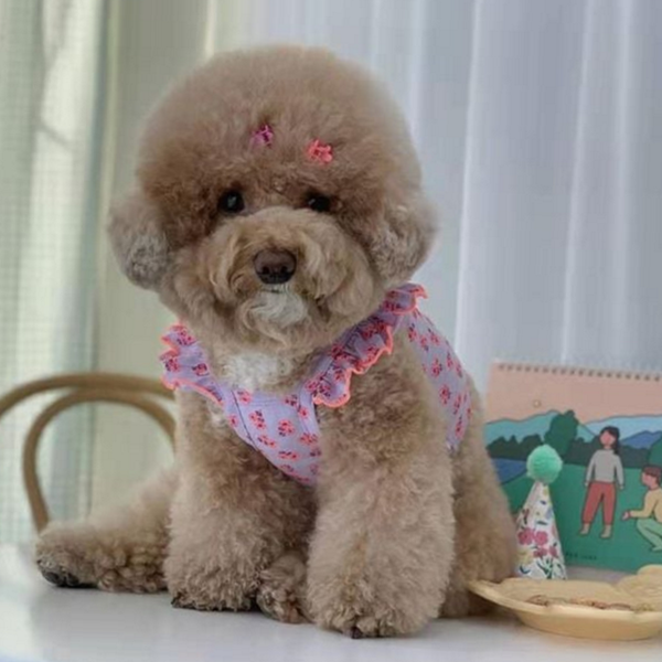 예쁜 강아지 플라워 나시 프릴 강아지 옷 나시 소형견 중형견 - 상품 이미지