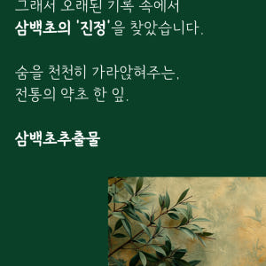 청기린 삼백초추출물 브로멜라인 TF343 국내산 180정, 1개 맛있게 먹은 솔직 후기 - 상품 이미지 2