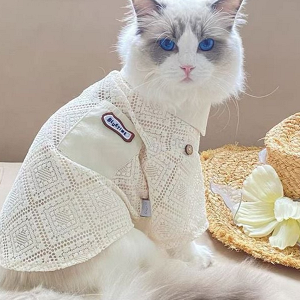 시스루 강아지 레이스 셔츠 고양이 강아지 여름 셔츠 블라우스 통기성 - 메인 이미지