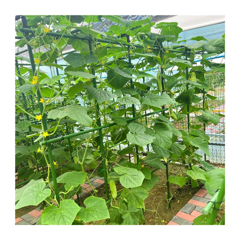 포도나무지지대 원예용 덩굴식물지지대 조립식 고추 화초 텃밭용 - 상세 이미지 4