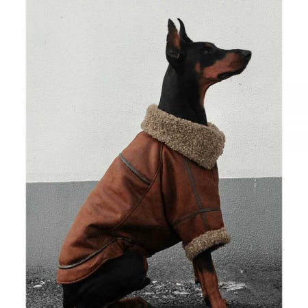 금별협력사 [해외]대형견 무스탕 겨울 가죽 스웨이드 조끼 강아지 겨울옷 2. 재킷4XL가슴70등52약24-30근