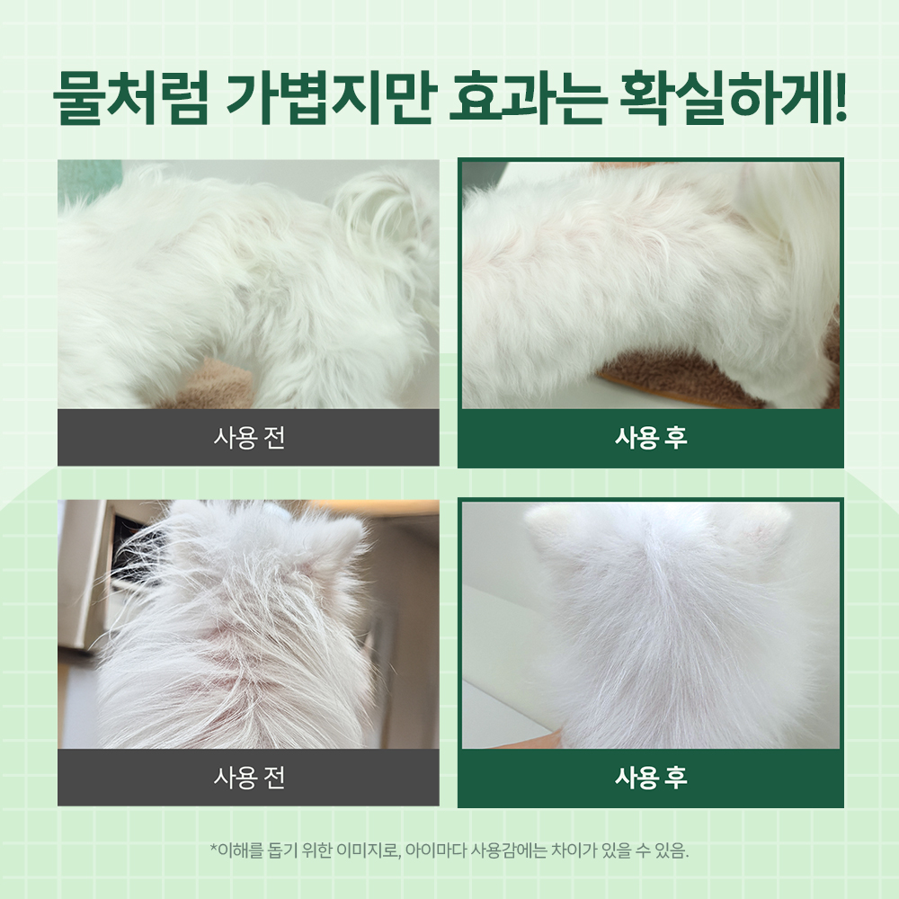 강아지 피부 관리 딥클렌징 추천 바이랩 스킨 테라피 온열 스킨 케어 강아지 피부 후기